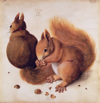 Ardillas, 1512 de Albrecht Dürer